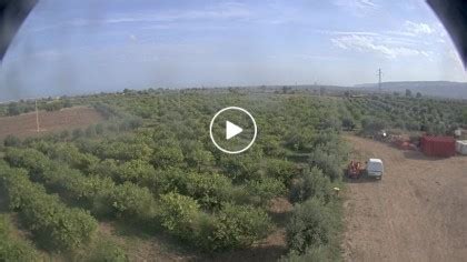 lemoncam italia|Live Webcams in Italy .